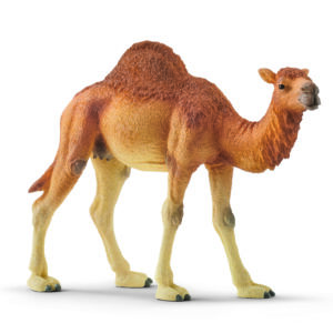 Dromedar (One size) - Schleich