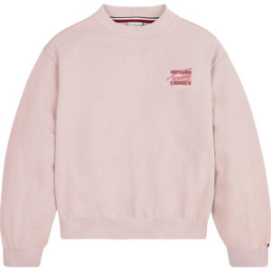 Organic sweatshirt (12 år/152 cm) - Tommy Hilfiger