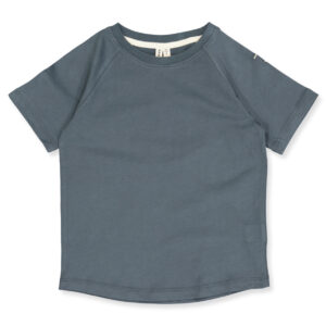Organic t-shirt (2-3 år) - Gray Label