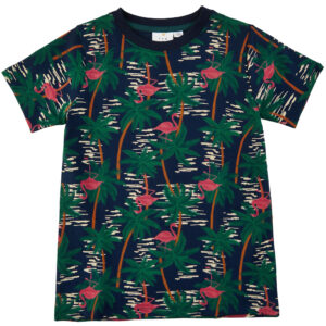 Organic Cocoo t-shirt (3-4 år) - The new