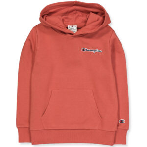 Sweatshirt (9-10 år) - Champion