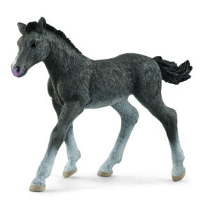 Trakehner - føl (One size) - Schleich