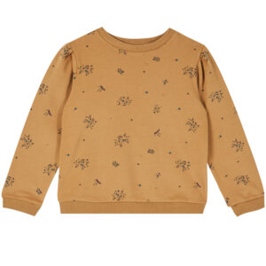 Organic sweatshirt (2 år/92 cm) - Emile et ida