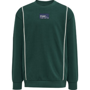 Organic Ditmer sweatshirt (4 år/104 cm) - Hummel