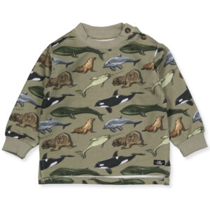 Samy sweatshirt (9 mdr/74 cm) - Hust & Claire