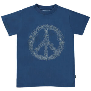 Organic Road t-shirt (6 år/116 cm) - Molo