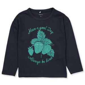 Organic Sanne bluse (6 år/116 cm) - Name it