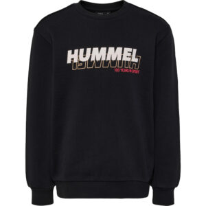 Organic Samuel sweatshirt (4 år/104 cm) - Hummel