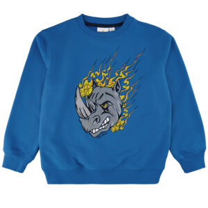 Fose sweatshirt (11-12 år) - The new