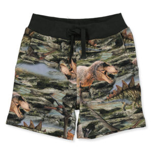 Organic Hino shorts (18 mdr/86 cm) - Name it
