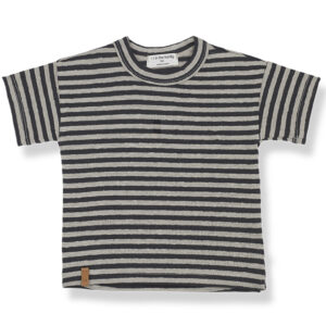 Cesar t-shirt (18 mdr/86 cm) - 1 + in the family