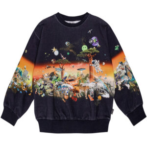 Organic Monti sweatshirt (6 år/116 cm) - Molo