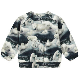 Organic Disc sweatshirt (3 år/98 cm) - Molo