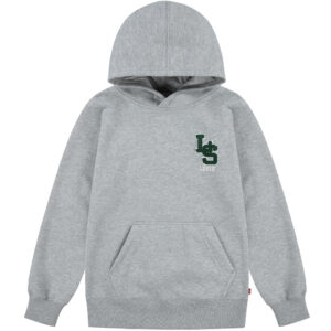 Sweatshirt (12 år/152 cm) - Levi's Kids