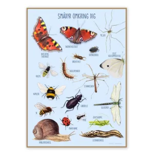 Ciha plakat - Smådyr omkring dig - Ciha