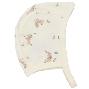 Fixoni Hue Stucco Præmatur - Fixoni