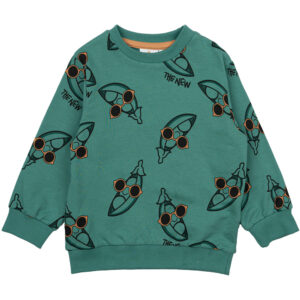 Organic TNSTNeo sweatshirt (2 år/92 cm) - The New Siblings