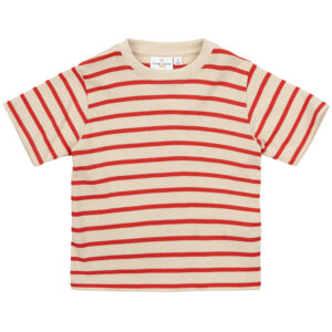 Organic TNSTNat t-shirt (2 år/92 cm) - The New Siblings