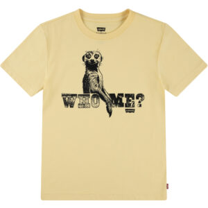 T-shirt (14 år/164 cm) - Levi's Kids