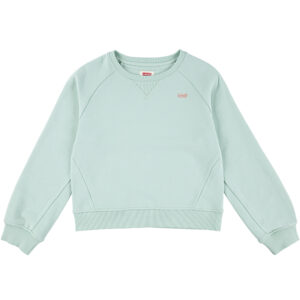 Sweatshirt (5 år/110 cm) - Levi's Kids