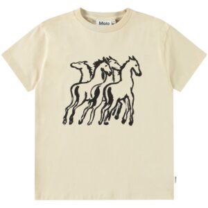 Organic Riley t-shirt (4 år/104 cm) - Molo
