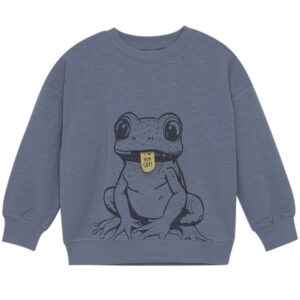 Organic sweatshirt (3 år/98 cm) - Minymo