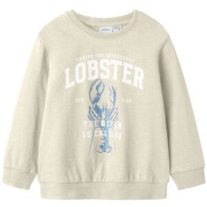 Organic Nmmfabian sweatshirt (2 år/92 cm) - Name it