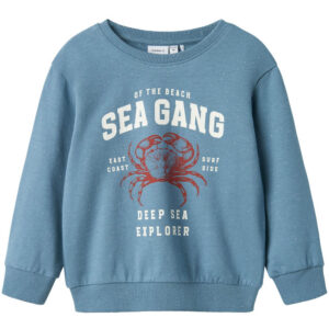 Organic Nmmfabian sweatshirt (3 år/98 cm) - Name it