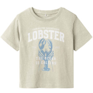 Organic Nmmfabi t-shirt (2 år/92 cm) - Name it