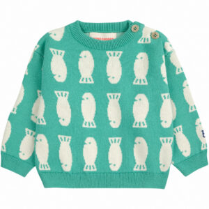 Organic Lucky Fish striktrøje (2 år/92 cm) - Bobo Choses