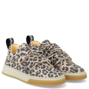 Sneakers (27) - angulus