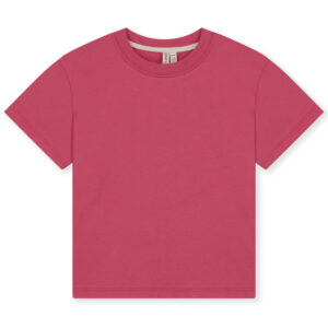 Organic t-shirt (3-4 år) - Gray Label