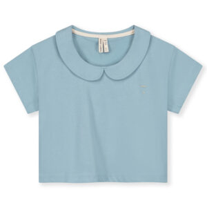 Organic t-shirt (2-3 år) - Gray Label