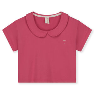 Organic t-shirt (2-3 år) - Gray Label
