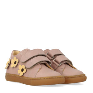 Sneakers (23) - angulus