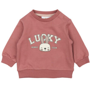 Organic TNSBPheba sweatshirt (12 mdr/80 cm) - The New Siblings