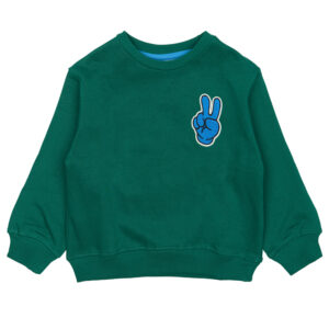 Organic TNSTPhineas sweatshirt (4 år/104 cm) - The New Siblings