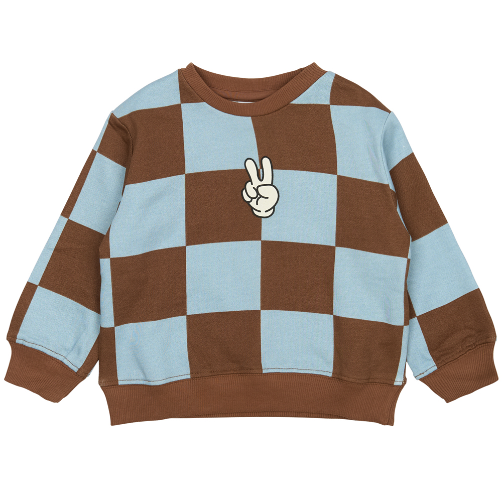 682ec595a9903TNST6368_-_TNSTPaulie_OS_Sweatshirt_-_Toffee_Check_-_Main Organic TNSTPaulie sweatshirt (3 år/98 cm) - The New Siblings