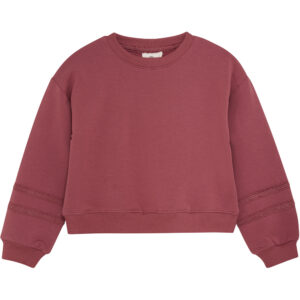 Organic sweatshirt (4 år/104 cm) - En Fant