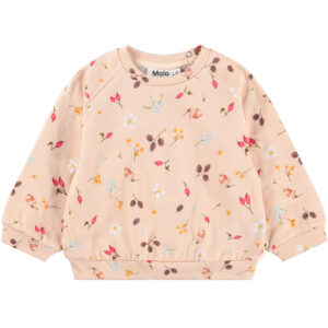 Organic Disc sweatshirt (18 mdr/86 cm) - Molo