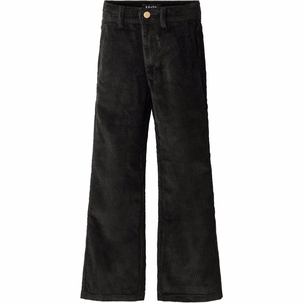 6839b9c44ab3a2W25I102_0099 Aida bukser (5 år/110 cm) - Molo