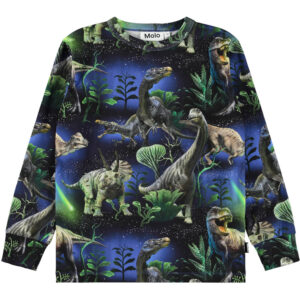 Organic Rill bluse (5 år/110 cm) - Molo