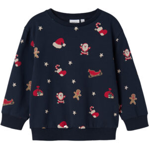 Organic NMNRohom sweatshirt (4 år/104 cm) - Name it