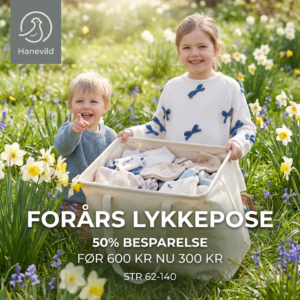 Forårs lykkepose - dreng / 62 - Hanevild