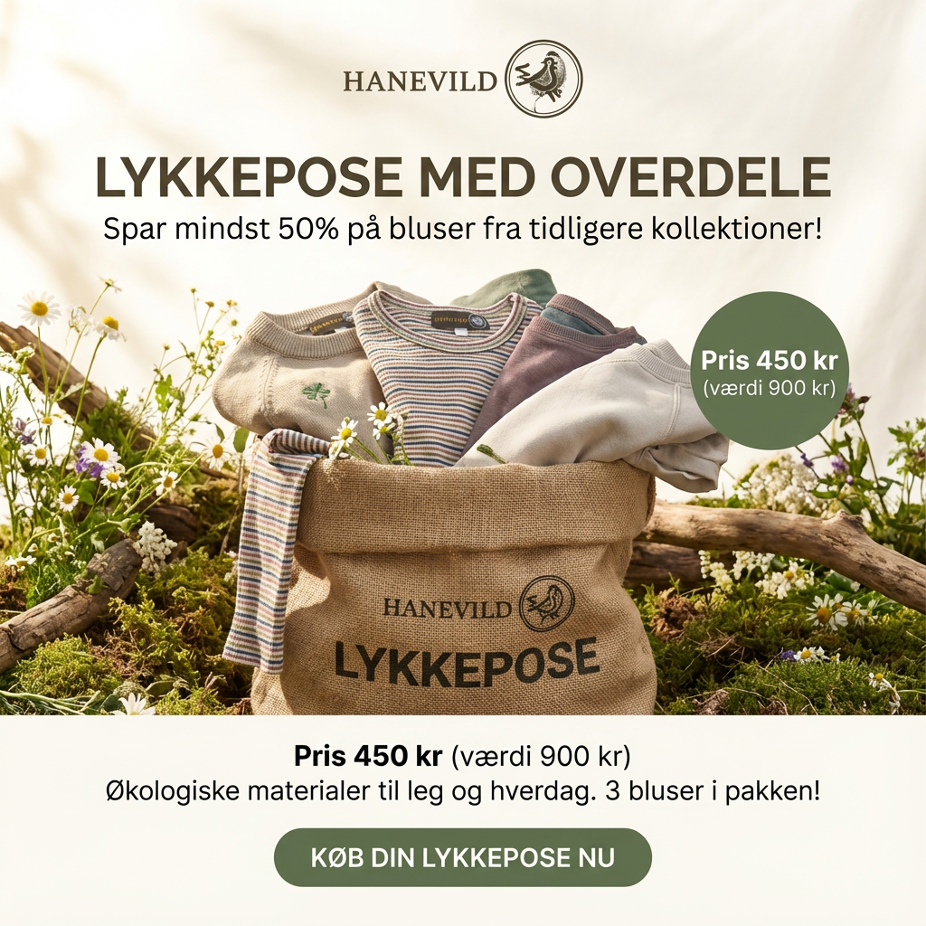 2366697_62bbce06-239e-45d7-929c-f1c6a511d9ef Bluse - Lykkepose - pige / 86 - Hanevild