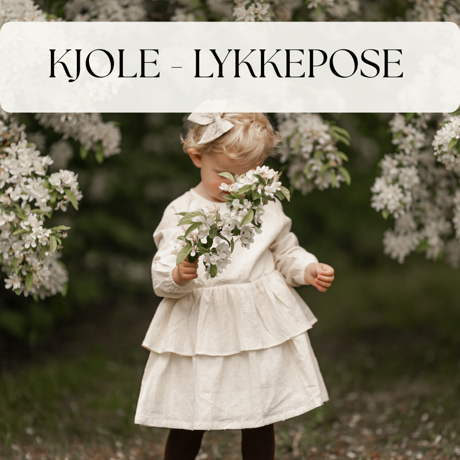 BrownPhotoCollageCoffeeFacebookPost_940x940px_4 Kjole lykkepose - 86 - Hanevild